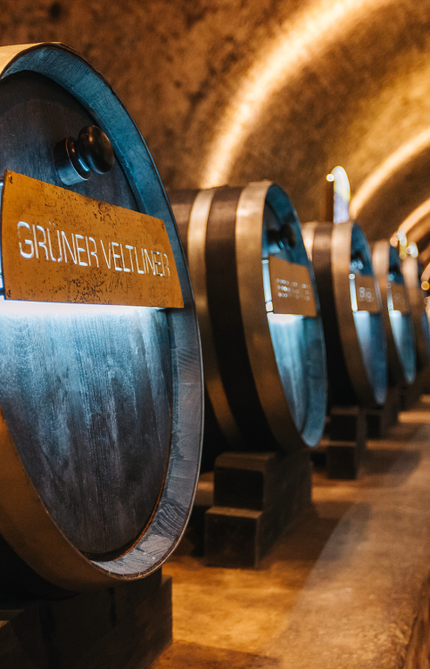 Sektfass in den Kellerwelten