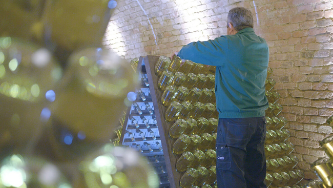 Ein Mann steht in einem Sektkeller an einem Rüttelpult und schüttelt Sektflaschen