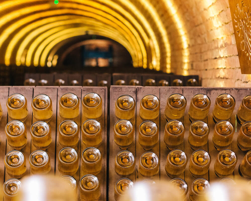 Sektflaschen in traditionellen Rüttelpulten in einem stimmungsvoll beleuchteten Weinkeller.