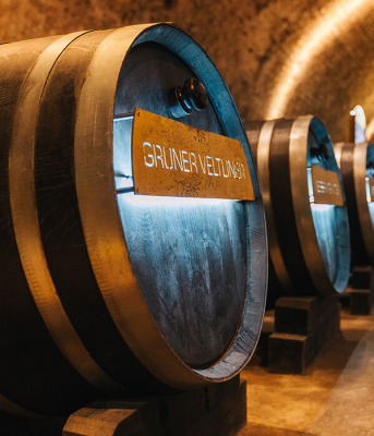 Sektfässer in einem stimmungsvoll beleuchteten Sektkeller